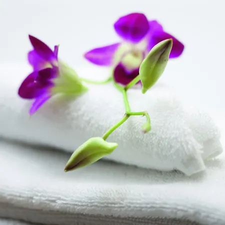 Movenpick Munster Am Aasee