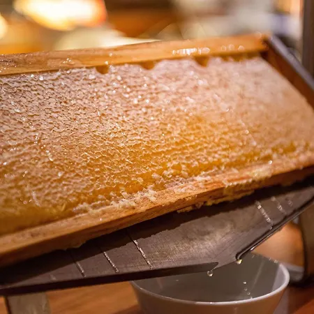 Movenpick Munster Am Aasee Μούνστερ