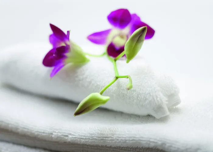 Movenpick Munster Am Aasee