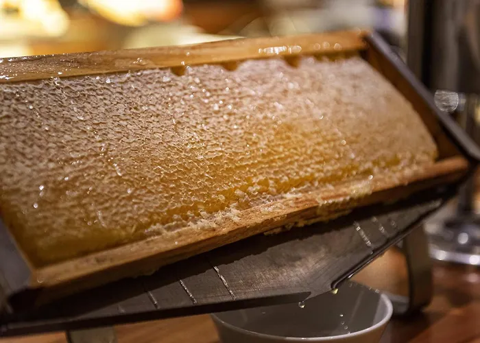 Hotel Movenpick Munster Am Aasee Munster (North Rhine-Westphalia)